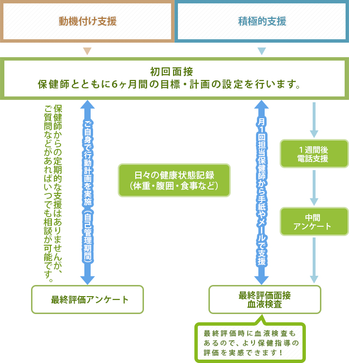 特定保健指導プログラム内容