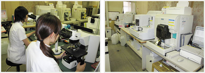 血液検査の様子