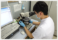 塗沫染色検査の様子