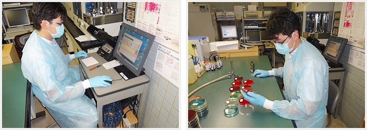 同定検査の様子