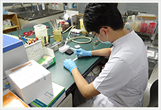 迅速検査の様子